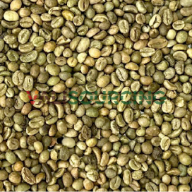 ROBUSTA GRADE 1 S18 CLEAN