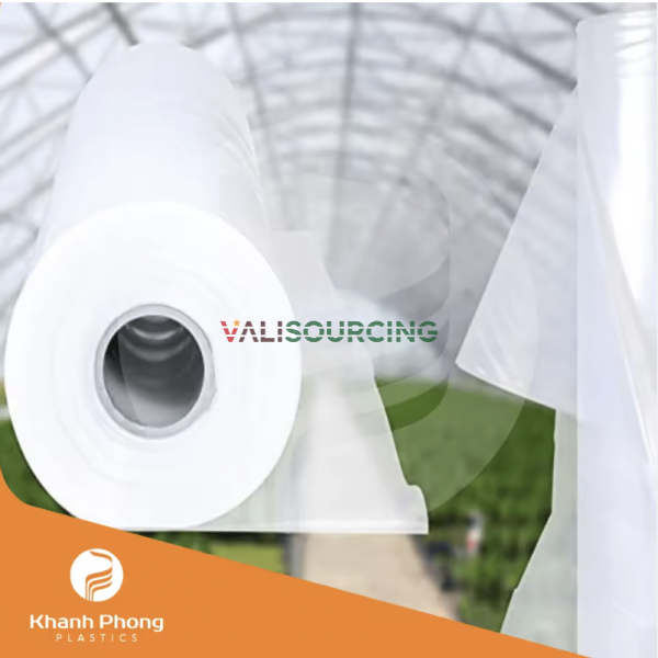PE Greenhouse Film for Mushroom Farming (Oyster, Wood Ear, Reishi, Cordyceps)