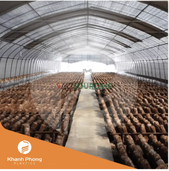 PE Greenhouse Film for Mushroom Farming (Oyster, Wood Ear, Reishi, Cordyceps)