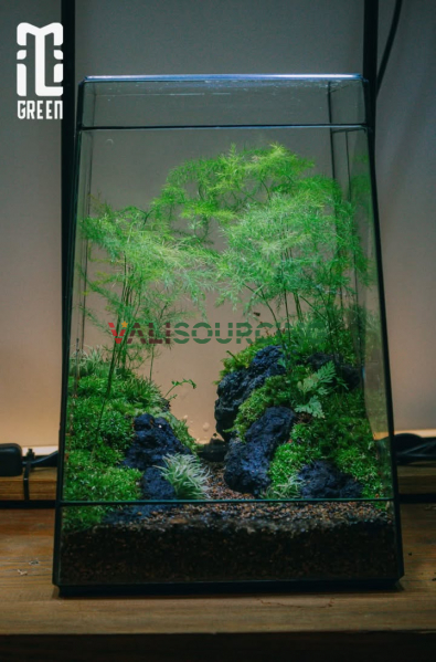 Terrarium box