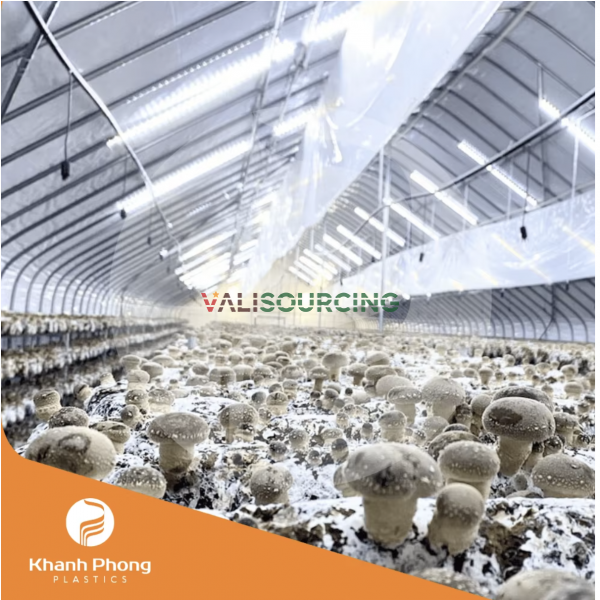 PE Greenhouse Film for Mushroom Farming (Oyster, Wood Ear, Reishi, Cordyceps)