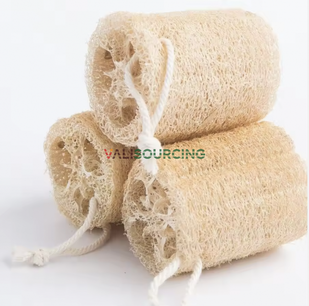 Natural Loofah Sponge – Eco-Friendly Bath & Shower Accessory from Vietnam