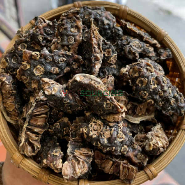 Fresh Noni Fruit (Kg)