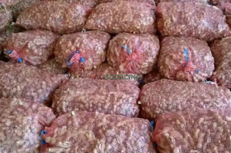 Fresh Ginger from Vietnam | Premium Export Quality