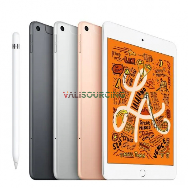 iPad Mini Gen 5 Wifi 256GB