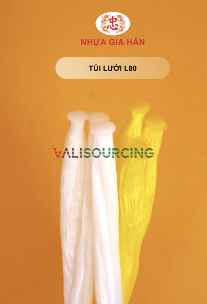 L80 Plastic Mesh Bag for Storing Toys and Fruits from Vietnam