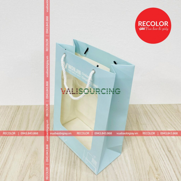 RECOLOR PRINTED PAPER BAG WITH HANDLE HS330
