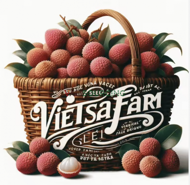 Sweet Tropical Rambutan Lychee Fruit