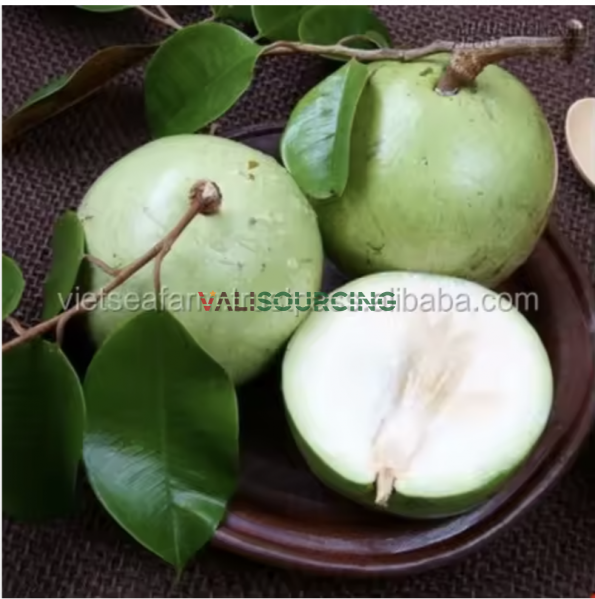 Fresh Star Passion Fruit