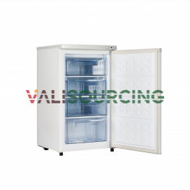 Hoa Phat HPF UAH6106 106L Upright Freezer