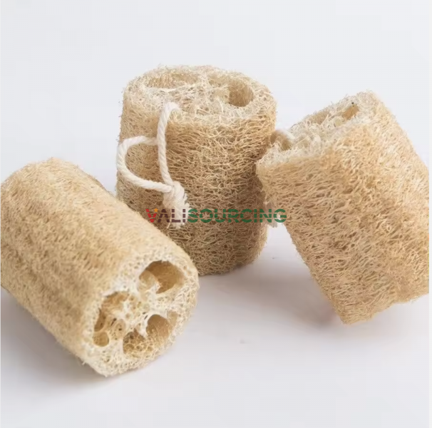 Natural Loofah Sponge – Eco-Friendly Bath & Shower Accessory from Vietnam