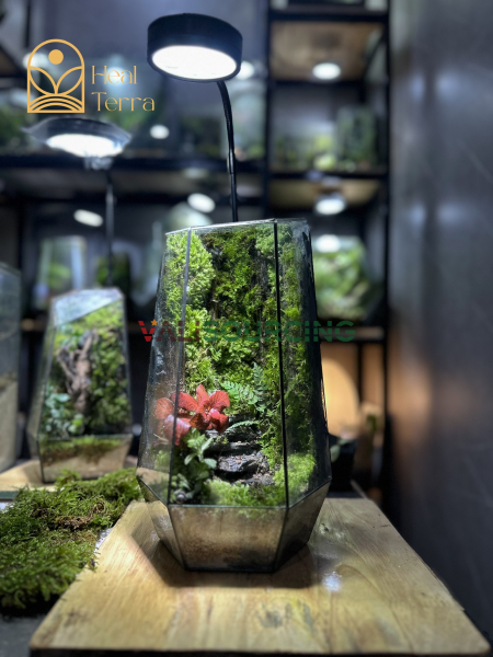 Bao Thach Diep Lam – High-End Polygonal Terrarium Art from Vietnam