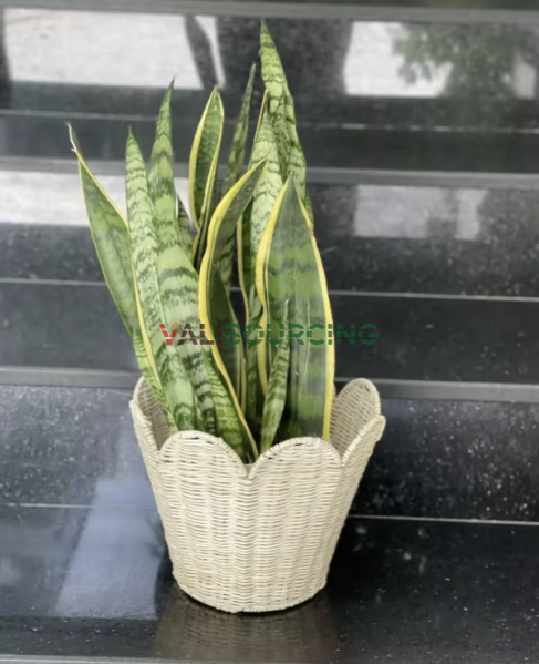 Scalloped Egde Iron Frame Rattan Basket