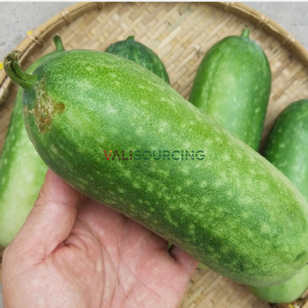 Green squash