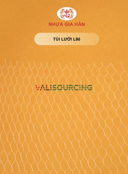 L80 Plastic Mesh Bag for Storing Toys and Fruits from Vietnam