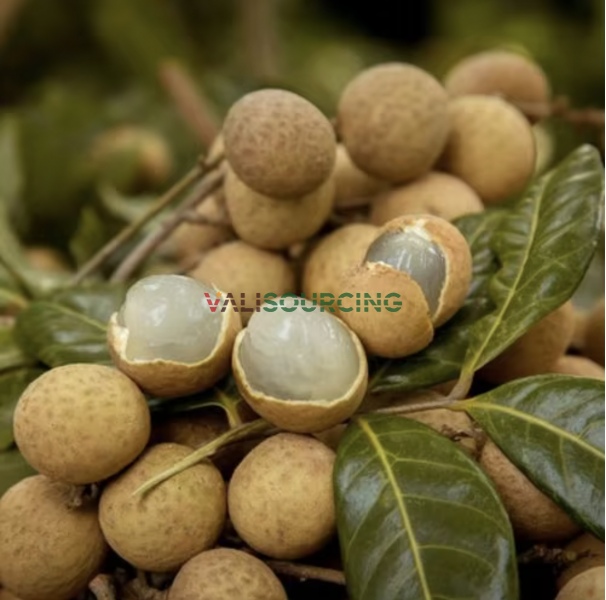 Organic Fresh Longan Fruit
