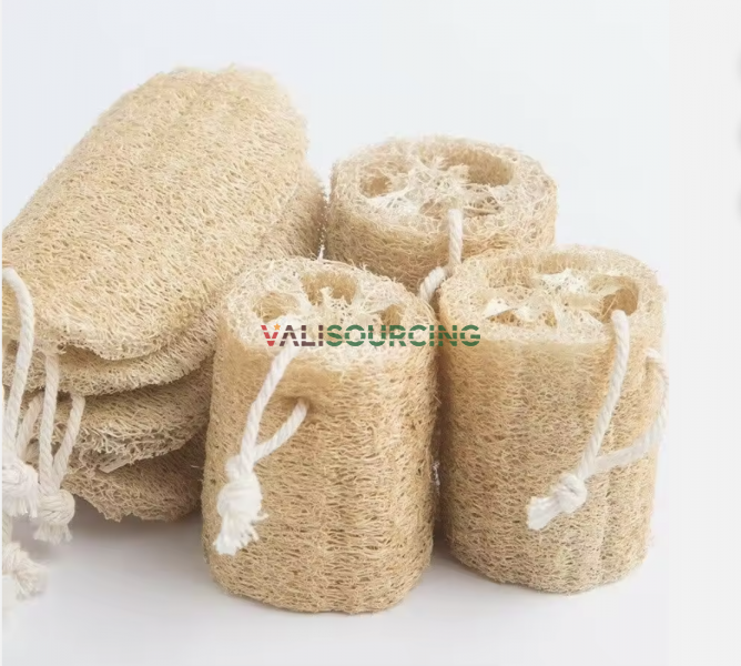 Natural Loofah Sponge – Eco-Friendly Bath & Shower Accessory from Vietnam