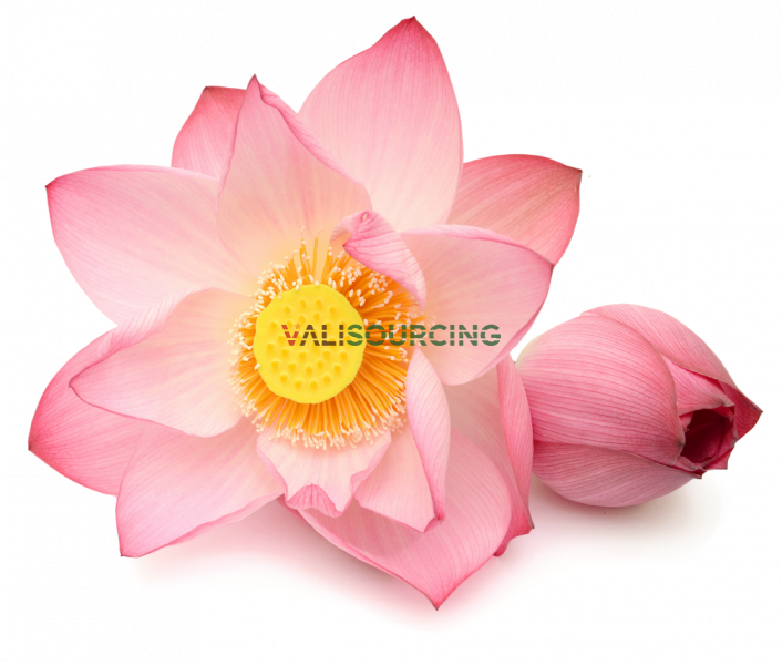 Hau Giang Lotus Nourishing Spray Essence 200ml from Vietnam