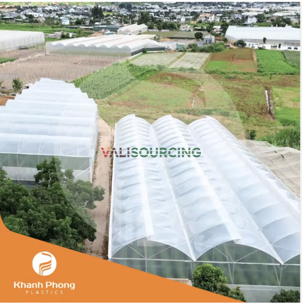 PE Greenhouse Film for Mushroom Farming (Oyster, Wood Ear, Reishi, Cordyceps)