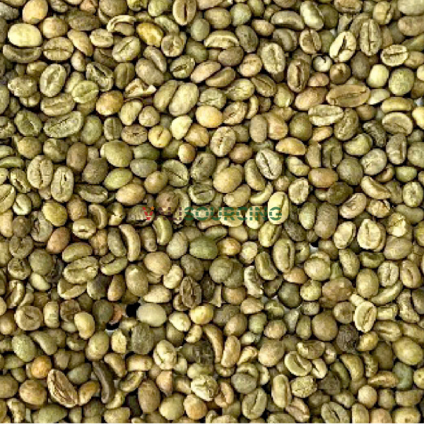 ROBUSTA GRADE 1 S18 CLEAN from Vietnam
