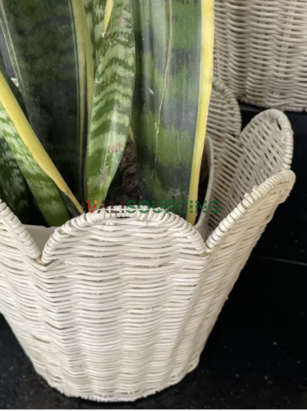 Scalloped Egde Iron Frame Rattan Basket