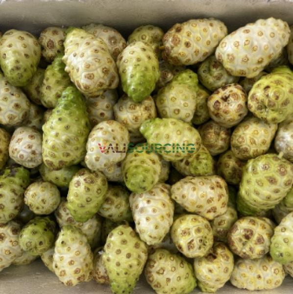 Fresh Noni Fruit (Kg)