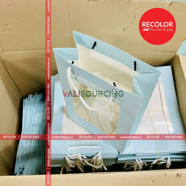 RECOLOR PRINTED PAPER BAG WITH HANDLE HS330
