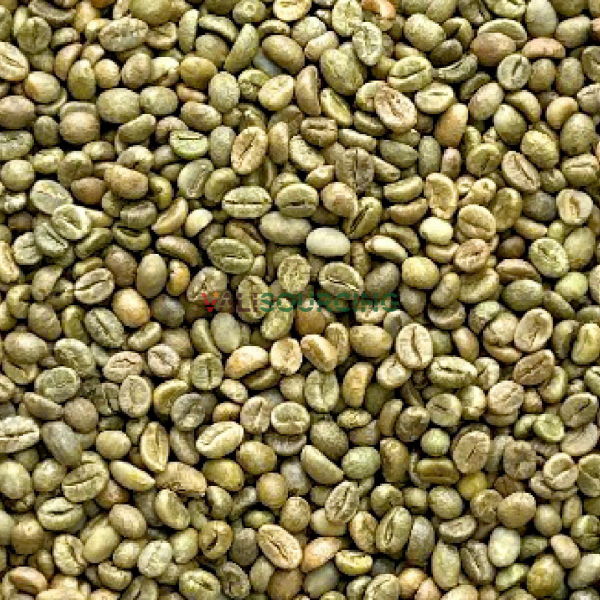 ROBUSTA GRADE 1 S13 CLEAN from Vietnam