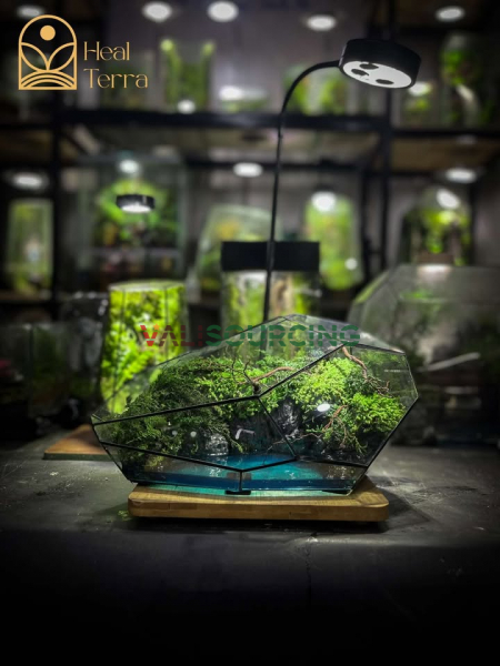 Terrarium box