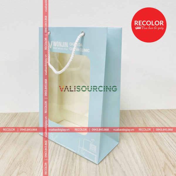 RECOLOR PRINTED PAPER BAG WITH HANDLE HS330
