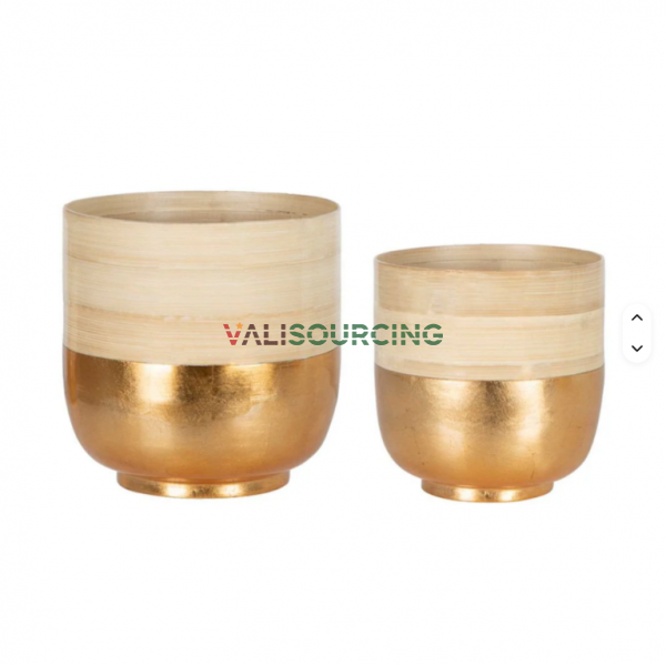 PIMA Spinning Bamboo Planter: Minimalist & Sustainable Decor