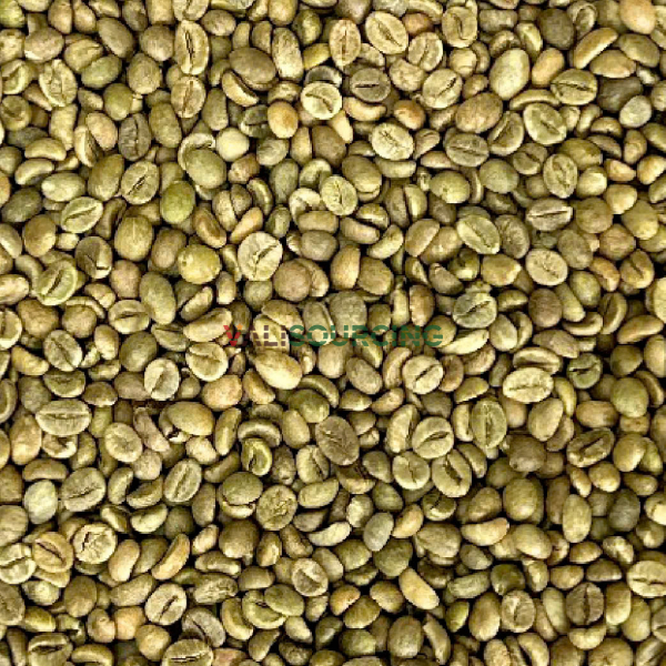 ROBUSTA GRADE 1 S16 STANDARD from Vietnam