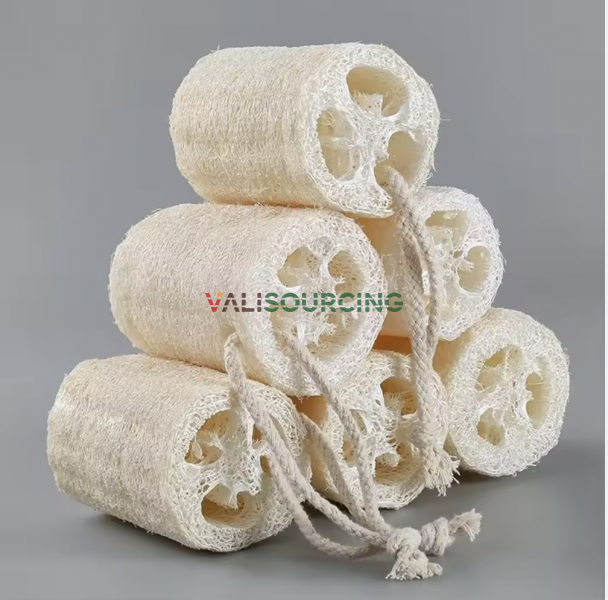 Natural Loofah Sponge – Eco-Friendly Bath & Shower Accessory from Vietnam
