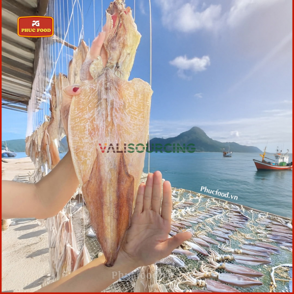 Mực Khô Loại 1 Quảng Ninh | Mực Câu Phơi Nắng Tự Nhiên Xuất Khẩu from Vietnam