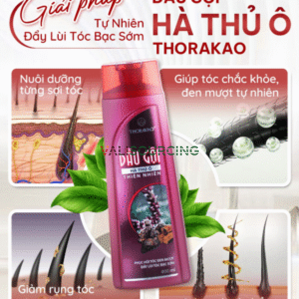 Fo Ti Shampoo for Reducing Gray Hair 400ml from Vietnam