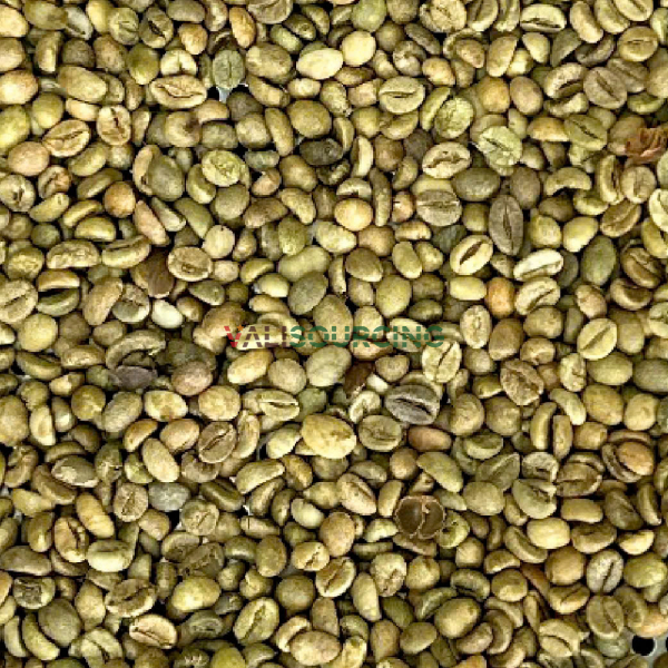 ROBUSTA GRADE 1 S18 STANDARD from Vietnam