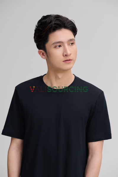 Men\'s Regular Fit T-shirt, 100% Cotton, 180gsm from Vietnam