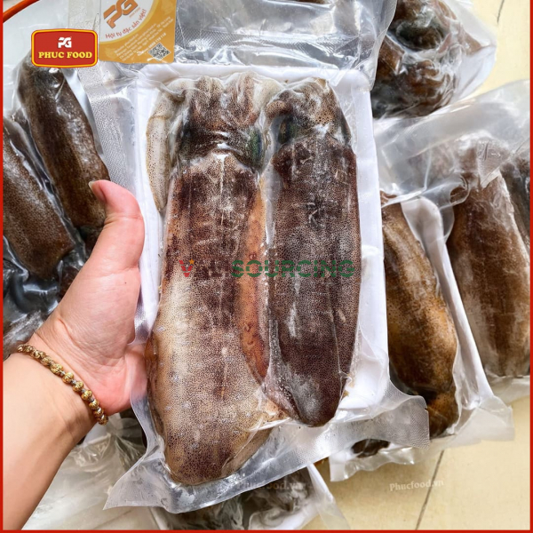 Giant Ocean Bigfin Reef Squid from Vietnam