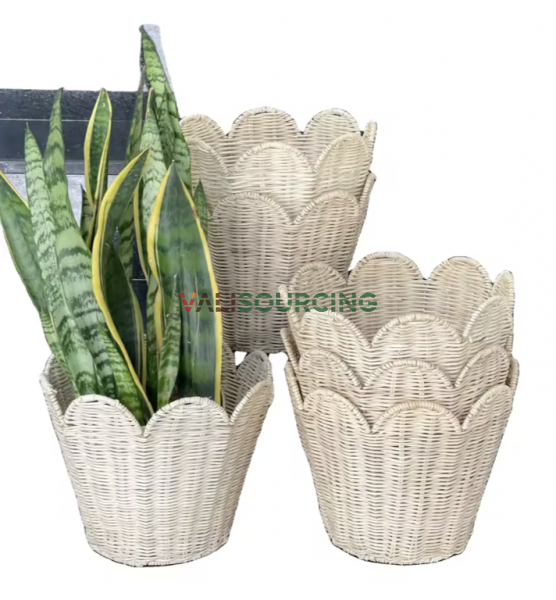 Scalloped Egde Iron Frame Rattan Basket
