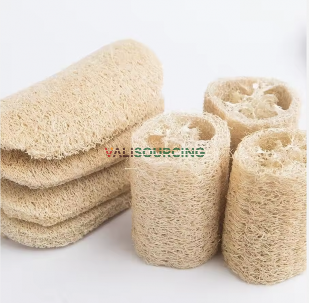 Natural Loofah Sponge – Eco-Friendly Bath & Shower Accessory from Vietnam