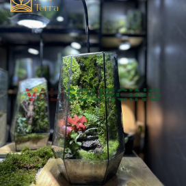Bao Thach Diep Lam – High-End Polygonal Terrarium Art