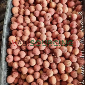 Sweet Tropical Rambutan Lychee Fruit