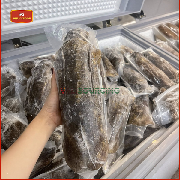 Giant Ocean Bigfin Reef Squid from Vietnam