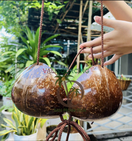 Natural Hawaiian Coconut Shell Bra from Vietnam