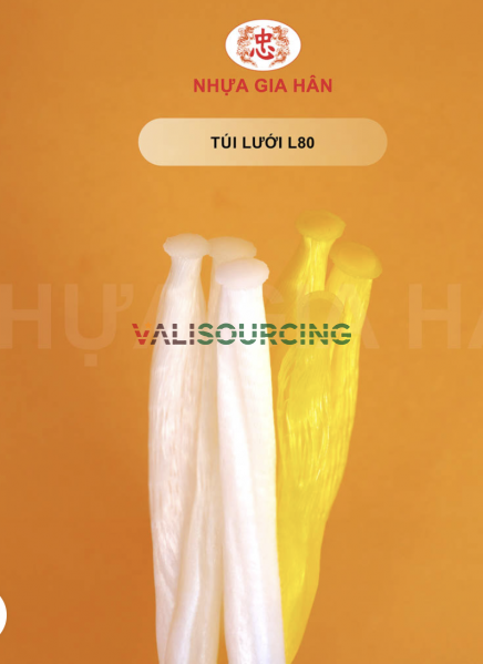 L80 Plastic Mesh Bag for Storing Toys and Fruits from Vietnam