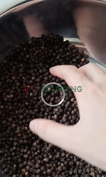 Premium Quality Pepper Powder in Retail Packaging
