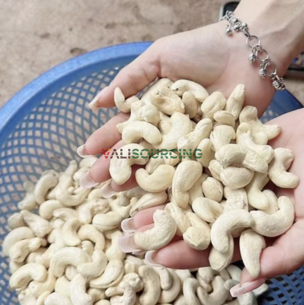 High Quality Vietnam Cashew Kernel