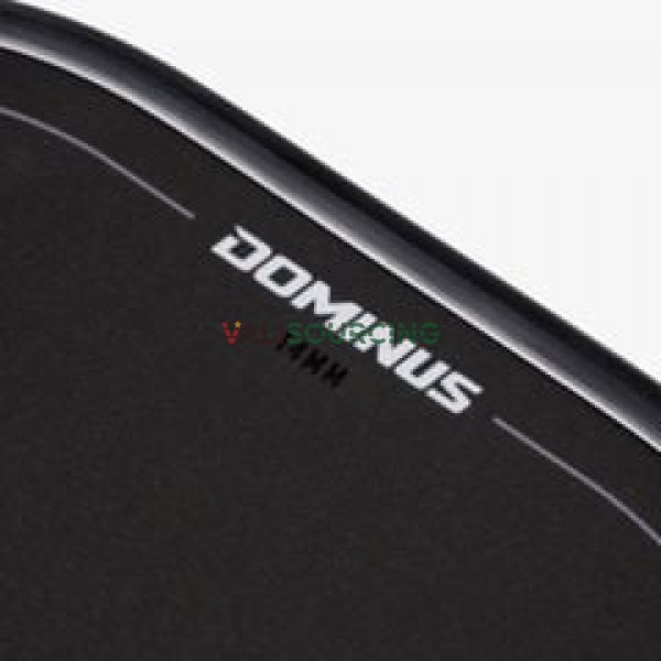 Kamito Dominus Pickleball Racket (14mm) from Vietnam