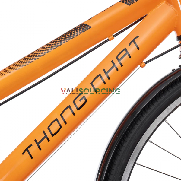 Thong Nhat GN 2.0 Pro Sports Car