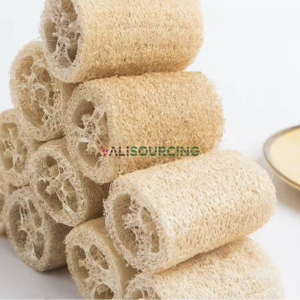 Natural Loofah Sponge – Eco-Friendly Bath & Shower Accessory from Vietnam